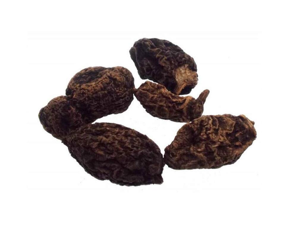 6936 1 Oz High John The Conqueror Root Ipomoea Jalapa for Charms Spells